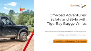 Off-Road-Adventures-Safety-and-Style-with-TigerBay-Buggy-Whips