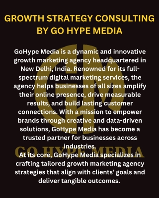 growth strategy consulting by go hype media