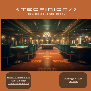 https www tecpinion com igaming software providers