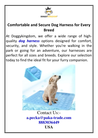 comfortable and secure dog harness for every