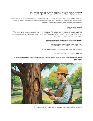What is a Tree Survey and Why Does Your Property Need One?