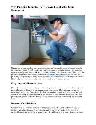 Why Plumbing Inspection Services Are Essential for Every Homeowner