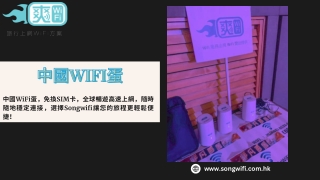 中國wifi蛋