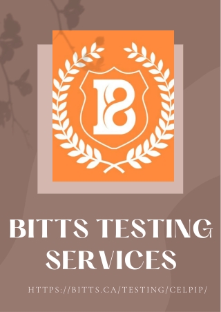 bitts testing services