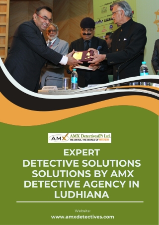 Expert Detective Solutions by AMX Detective Agency