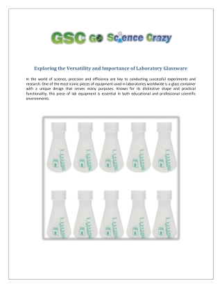 Erlenmeyer Flask - Go Science Crazy
