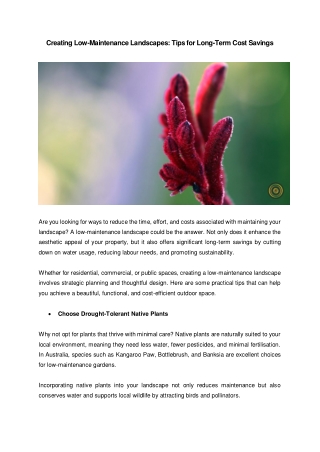 Creating Low-Maintenance Landscapes: Tips for Long-Term Cost Savings