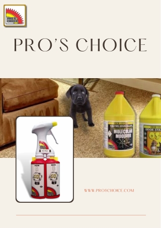 Best Carpet Stain Removers – Top Carpet Stain Removers