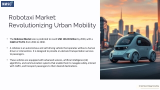 Robotaxi Market
