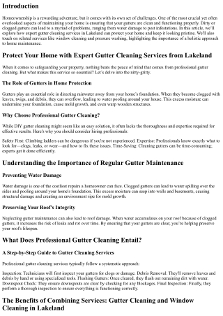 Protect Your Home with Expert Gutter Cleaning Services from Lakeland