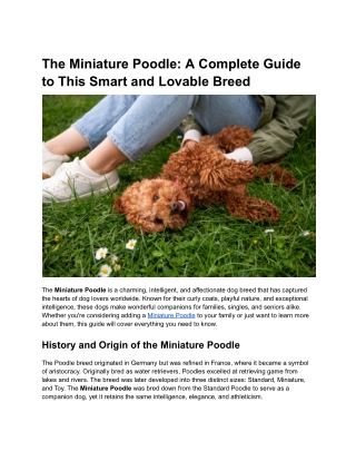 the miniature poodle a complete guide to this