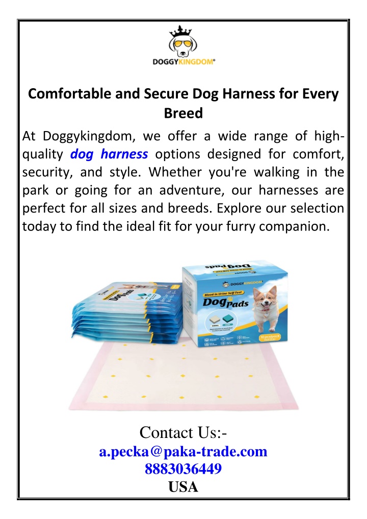 comfortable and secure dog harness for every