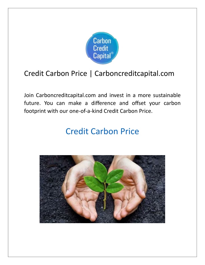 credit carbon price carboncreditcapital com