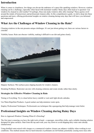 Professional Insights on Window Cleaning during Rainy Days