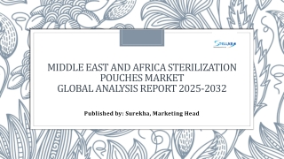 Middle East and Africa Sterilization Pouches Market Size, Opportunities 2030