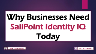 why businesses need sailpoint identity iq today