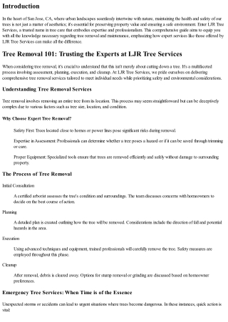 Tree Removal 101: Trusting the Experts at LJR Tree Services