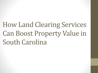 How Land Clearing Services Can Boost Property Value in South Carolina