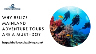 Why Belize Mainland Adventure Tours Are a Must-Do?