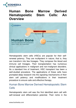 Human Bone Marrow Derived Hematopoietic Stem Cells: An Overview