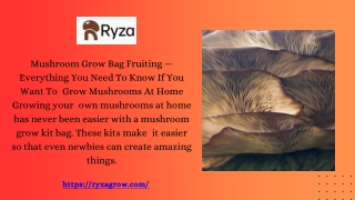 Mushroom Grow Bag For Fruiting Mushrooms at Home