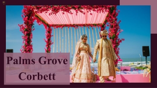 Palms Grove Resort & Spa – Where you’re Fairytale Wedding Comes True.