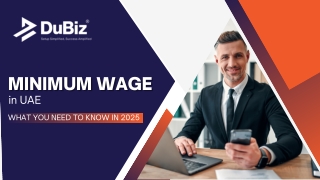 minimum wage minimum wage in uae