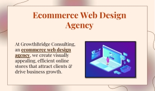 Ecommerce Web Design Agency