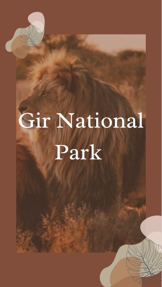 Gir National Park.