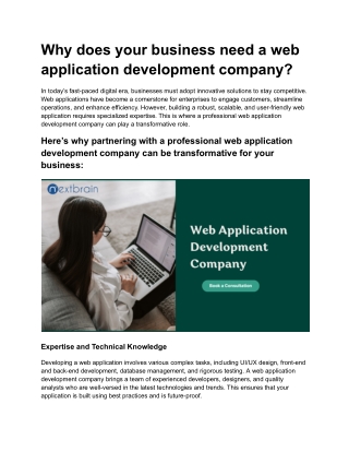 Why does your business need a web application development company?