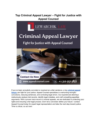 Criminal Appeal Lawyer