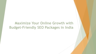 SEO Packages in India