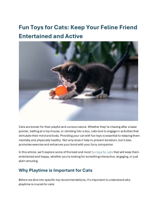 fun toys for cats keep your feline friend