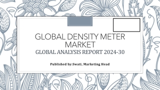 global density meter market global analysis report 2024 30