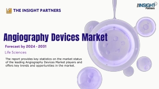the insight partners