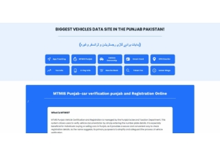 MTMIS Punjab