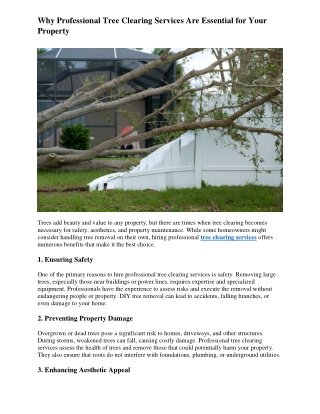 Why Professional Tree Clearing Services Are Essential for Your Property