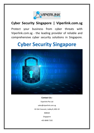 Cyber Security Singapore  Viperlink.com.sg