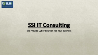 ssi it consulting
