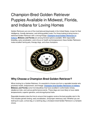 Champion-Bred Golden Retriever Puppies Available in Midwest, Florida, and Indiana for Loving Homes