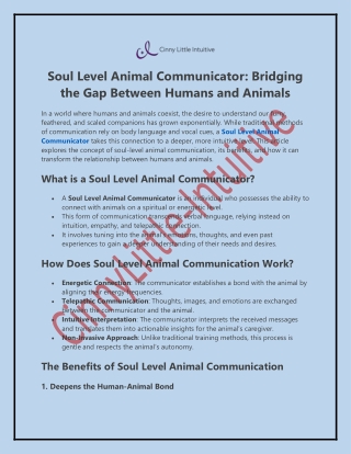Soul Level Animal Communicator: Deepening the Connection btwn You and Your Pet