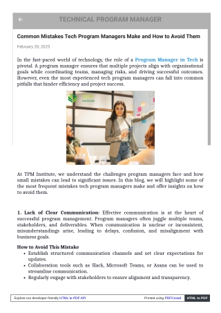 Program Manager in Tech