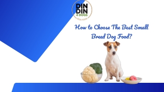How to Choose The Best Small Breed Dog Food