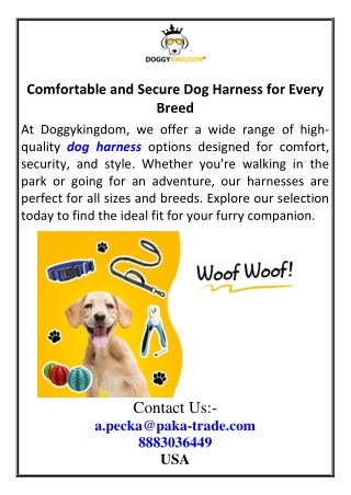 comfortable and secure dog harness for every