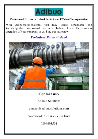 Professional Drivers in Ireland for Safe and Efficient Transportation