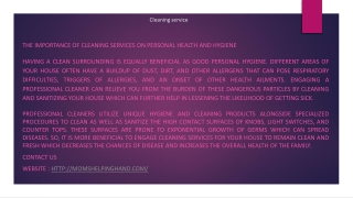 Cleaning service