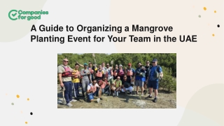 a guide to organizing a mangrove planting event