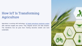How IoT Is Transforming Agriculture