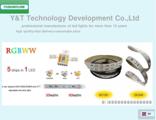 y t technology development co ltd professional