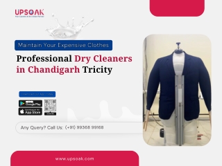 Maintain Your Expensive Clothes with Professional Dry Cleaners in Chandigarh Tricity